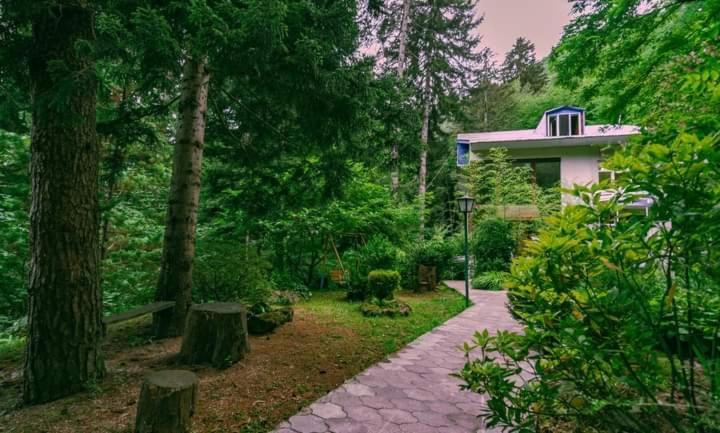 Nunisi Forest Hotel & Spa Buitenkant foto